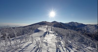 Filmy górskie w Ustrzykach Dolnych