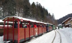 Zimowe przejażdżki bieszczadzką ciuchcią