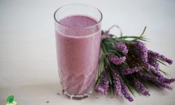 Wegańska sobota w Rzeszowie