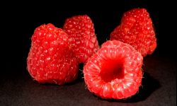 Sekrety najdłużej żyjących ludzi świata