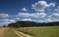 Pogórze Dynowskie w smartfonie