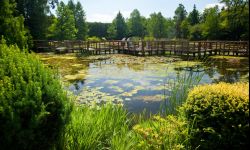 Powitać wiosnę w Arboretum w Bolestraszycach