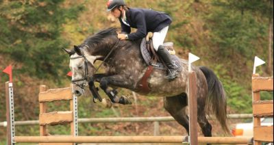 Trzydniowe zawody jeździeckie w Gliniku Zaborowskim