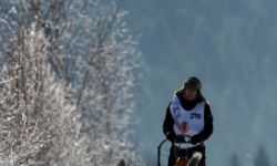 Wyścigi psich zaprzęgów. W najbliższy weekend - w Krainie Wilka