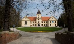 Niezwykła kolekcja malarstwa na zamku w Dzikowie