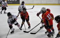 Młodzieżowa Olimpiada na Podkarpaciu