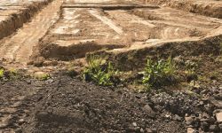 Na co zwrócić uwagę kupując działkę budowlaną