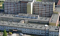 Transplantacja? TAK!