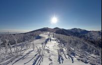 Zimowe Bieszczady braci Kłysewiczów