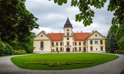 Powrót dzikowskiej kolekcji