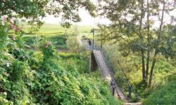 Przez most z Boguchwały do Rzeszowa