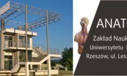 SPiN Day - o nauce w Zakładzie Nauk o Człowieku