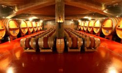 Słowacy zapraszają na degustację wina w 154 piwnicach