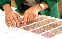 Tynki mineralne - powrót do tradycji