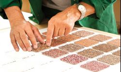 Tynki mineralne - powrót do tradycji