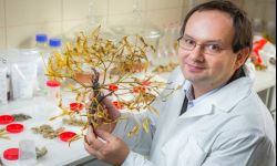 Moda na zioła i leki naturalne trwa od zawsze