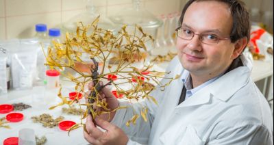 Moda na zioła i leki naturalne trwa od zawsze