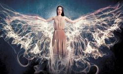 Projektanci z całej Polski zaprezentują swoje kolekcje na Fashion Week w Mielcu