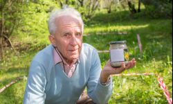 Emerytowany chemik odkrył skuteczny proszek w walce ze ślimakami 