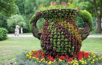 Podkarpackie na weekend. Wyprawa do Rymanowa-Zdroju