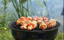 Grill w ogrodzie. Wybieramy idealny 