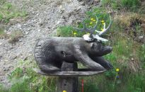 Podróżnik z Krosna przez 10 lat ,,polował