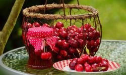 Wysiewanie poplonu i inne prace ogrodowe w lipcu