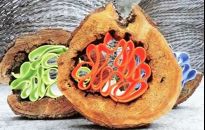 Sztuka włókna - z Arboretum w Bolestraszycach do BWA w Rzeszowie