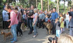 Błogosławieństwo zwierząt w Mikstacie. Ponad 300-letnia tradycja