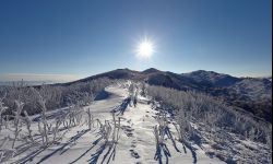 Świadomość obywatelska