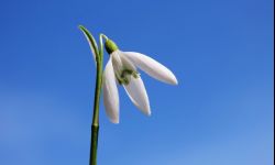 Klimatolog: do wiosny jeszcze 7-10 dni