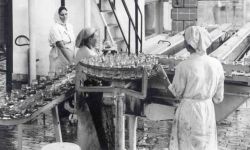 Dawna Alima-Gerber ma już 90 lat! Fabryka zaczynała od cukierków