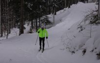 W podkarpackich lasach jest 50 km tras biegowych dla narciarzy