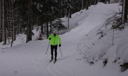 W podkarpackich lasach jest 50 km tras biegowych dla narciarzy