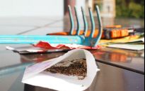 Pora kupić nasiona. Jakie wybrać?