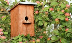 Edukacyjny Sad Owocowy od wiosny na Lisiej Górze