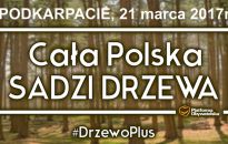 Akcja sadzenia drzew w pierwszy dzień wiosny