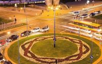 Wkrótce rozbłysną iluminacje na drzewkach wzdłuż ulicy Cieplińskiego