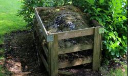 Mnóstwo dobrych rad, jak założyć kompostownik na działce