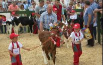 Prezentacje zwierząt, roślin i jadła na 