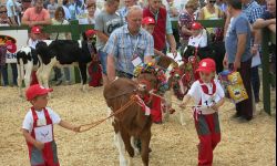 Prezentacje zwierząt, roślin i jadła na "Dniach Otwartych - Boguchwała 2017"