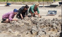 Scytyjski gród w Chotyńcu zaczyna zdradzać swoje tajemnice