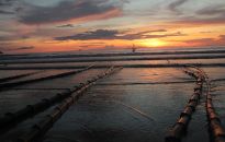 Zamieszkali na plaży na Filipinach. Budują tu Arkadię i smakują wolność