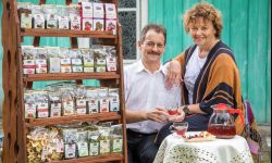 Smaki Podkarpacia. Suszone owoce i herbatki z Handzlówki 