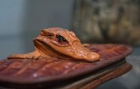 Luksusowe torebki i kobiece ubiory w Muzeum Okręgowym w Rzeszowie 