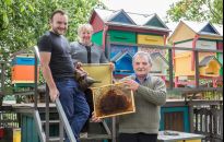 Miody z Piwody: kiedyś był jeden ul, dziś jest ponad 100