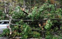 Burza za kierownicą