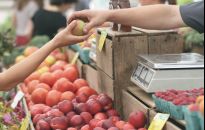 Jesienna Giełda Ogrodnicza w Boguchwale: winobranie i wystawa królików