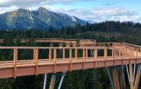 Słowacy otwarli szlak w koronach drzew. Widać Zamek w Niedzicy