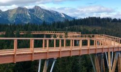 Słowacy otwarli szlak w koronach drzew. Widać Zamek w Niedzicy